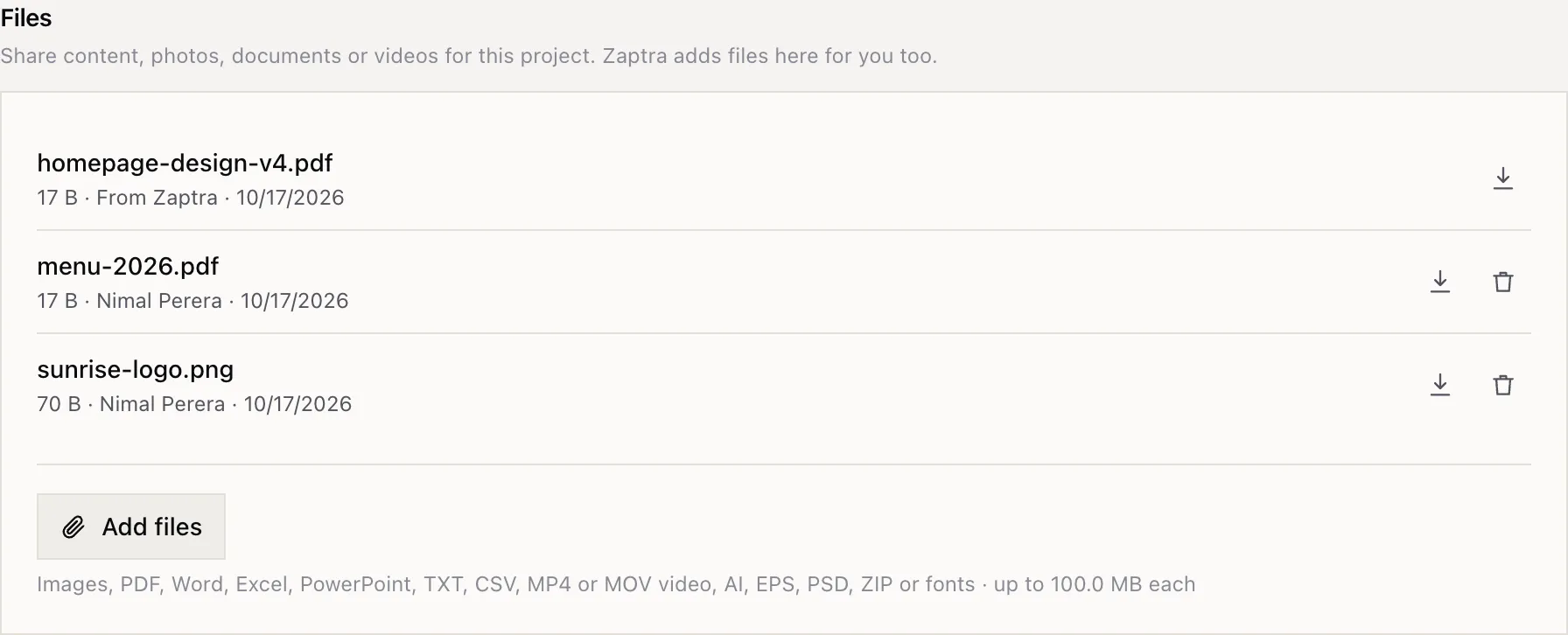 The Files section of a project